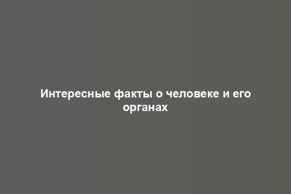 Интересные факты о человеке и его органах