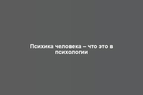 Психика человека – что это в психологии