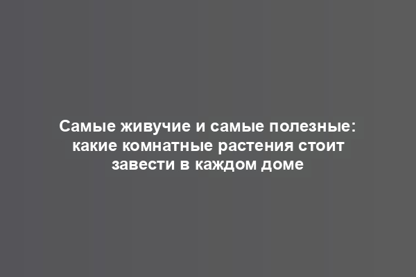 Самые живучие и самые полезные: какие комнатные растения стоит завести в каждом доме